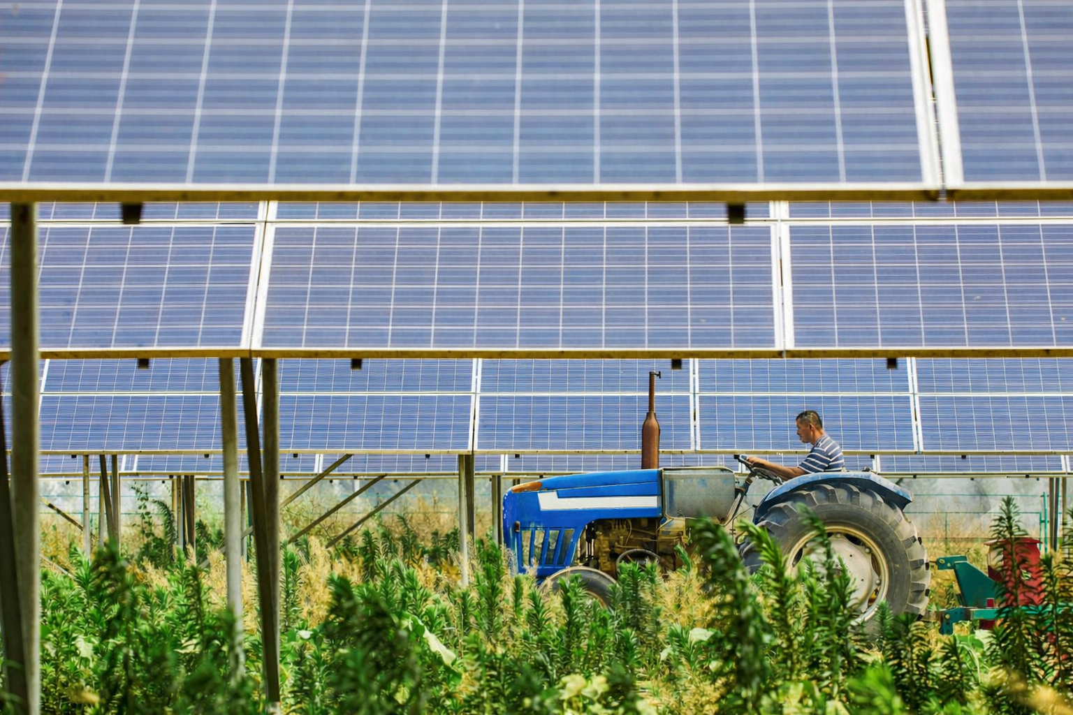 Paneles solares en zona agraria Paneles solares en zona agraria